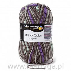 Bravo Color  02107