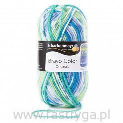 Bravo Color  02080