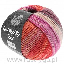 Cool Wool Big Color 4012