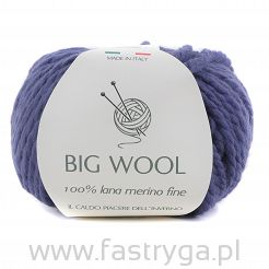 Big Wool 247 dżins