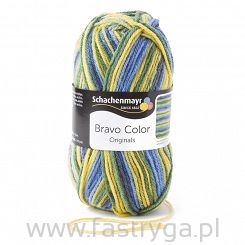 Bravo Color  02093
